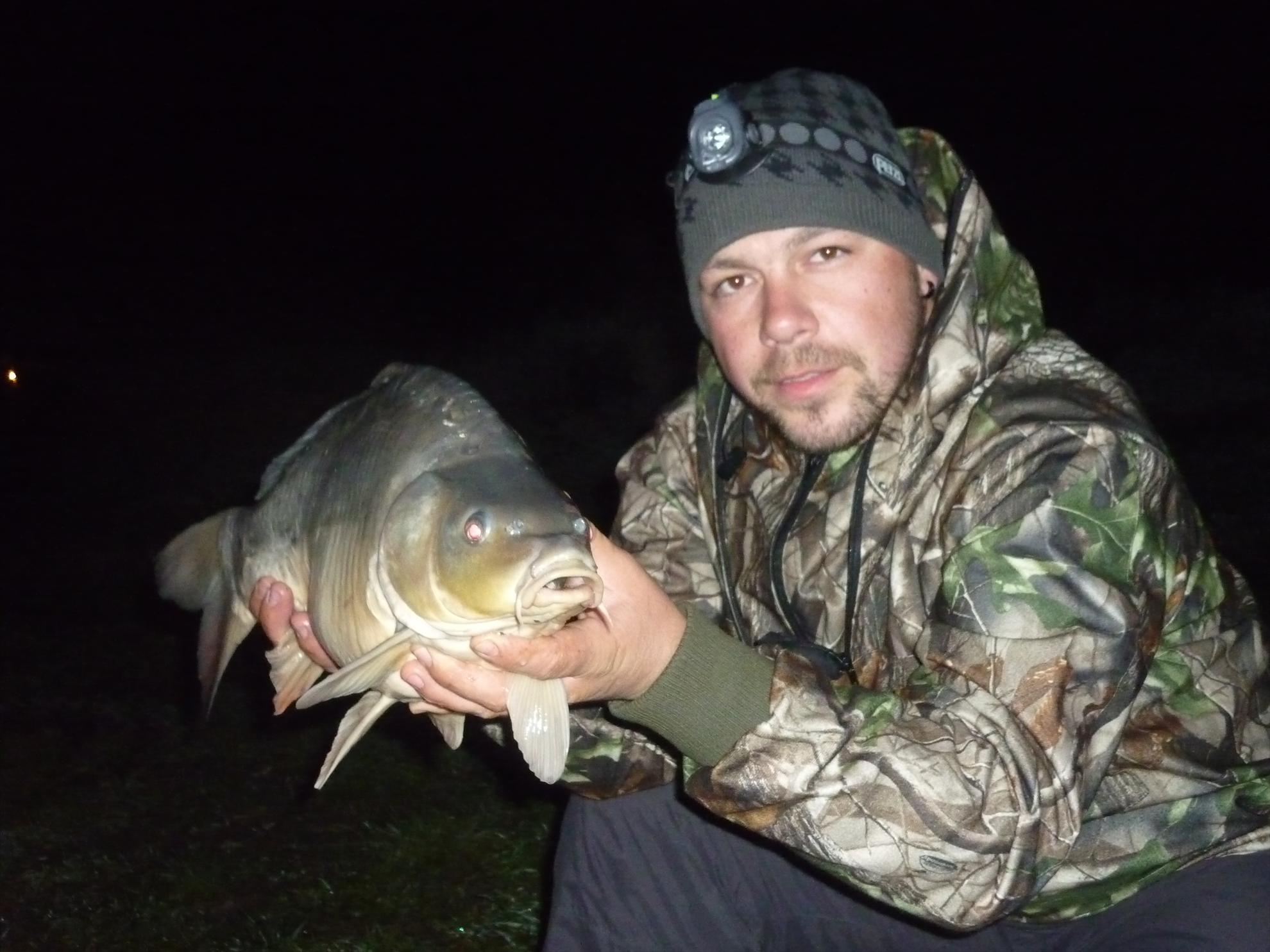 Stejeris 2011 - p1010992.JPG